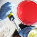 현대한의원 이미지