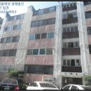 사파동407 이미지