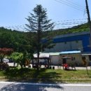 정선찜질방 이미지