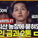 금이농장 이미지