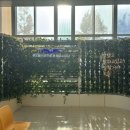 배미수영장 이미지