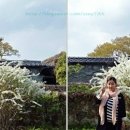 신문왕릉앞금어당 이미지