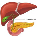 하이동물병원 이미지