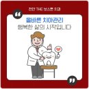 치아사랑치과기공소 이미지