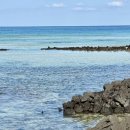 비자림빌리지1 이미지