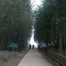 터틀장 | [내일로 후기] R Lips님의 내일로 여행 후기 3탄!! 담양&amp;여수