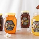 새재의아침 이미지