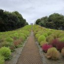 [주역] 삶의 실천적 지혜를 강조한 처세서 | 명심보감(明心寶鑑)9 : 근학편(勤學篇) 8