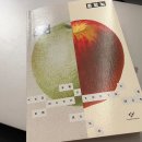 서진의원 | 진짜 재밌다! <혼모노> 후기 및 줄거리 요약 by 성해나