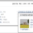 한강시민공원 쉼터 네이버블로그