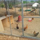 반곡 농장 이미지