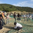 [공수마을]조간대체험 부산일보