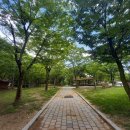 일곡 제1근린공원 이미지