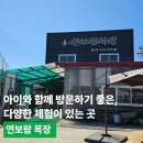 아이와 함께 방문하기 좋은, 다양한 체험이 있는 곳 연보람 목장(송아지 우유주기, 피자만들기)