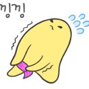 젤루조아