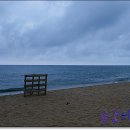 다우리조텔 이미지