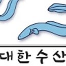 동진강민물장어 이미지