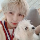 LIKE FRISE 이미지