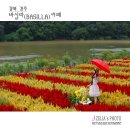 바실라