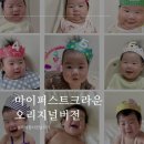 크라운PC | 아기개월수왕관 마이퍼스트크라운 (오리지널 버전,12개월 완성) +캔바로 셀프포스터 만들기