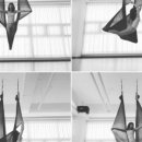 휘트니스R 이미지