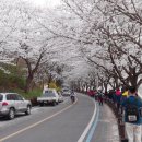 문척면사무소 이미지