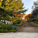 12/24(수)남산(270m) 힐링코스 산행 이미지