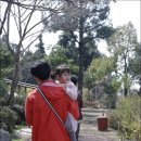 칠중하가든 | 제주도 가볼만한곳 추천 : 휴애리자연생활공원