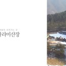 영월힐링숲펜션