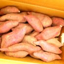 바닷가 돈대 길,, 8,20일 토요일 ㅡ 고잔마을 주말장터 개장 이미지