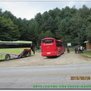 대득지맥 1구간(자등현-각흘봉 지맥분기점-태화산(795m)-463도로). 이미지