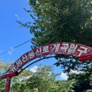 알사도 | 가평 유명산 계곡캠핑 놀거리 및 펜션알사도 후기