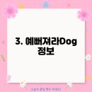예뻐져라DOG 이미지