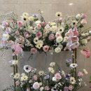 명성(132) | W29. 수원 이비스 호텔 웨딩 본식 후기(화촉점화,주례없는 예물교환 식순)