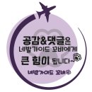 펫뛰뛰 | 홍천 강아지 동반 여행 추천 소노펫 비발디파크 골드룸 후기