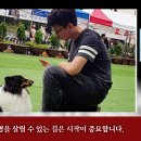 못된강아지 이미지