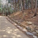 황령산 벚꽃약수터 네이버블로그