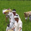 송악두레논매기 이미지