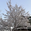 바람꽃건강 | 부안 변산반도 스테이변산바람꽃 내돈내산 후기