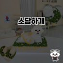 소담하개 이미지