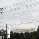 청와오리 이미지