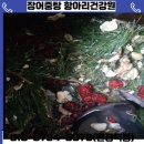 평동건강원