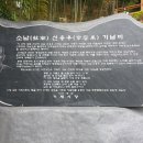 대숲사이 이미지