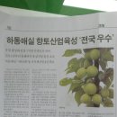 소망농장 이미지