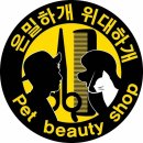 은밀하개위대하개 | 탱자 미용 했어요♡ 은밀하개위대하개