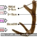 백두산렌트카 이미지