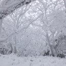 구천동주유소 이미지