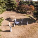 장유 선생 묘 및 신도비 이미지