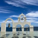 동해애견센터 이미지