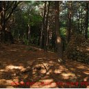 은평-057 이미지